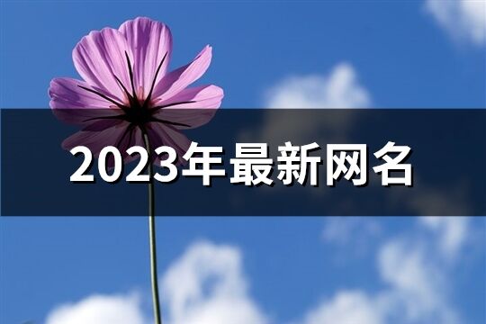 2023年最新網(wǎng)名(精選2024個(gè))