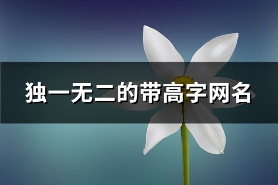 獨(dú)一無二的帶高字網(wǎng)名(精選92個)