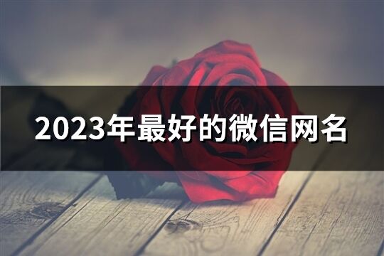 2023年最好的微信網(wǎng)名(共1693個(gè))