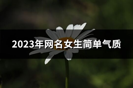 2023年網名女生簡單氣質(優(yōu)選432個)