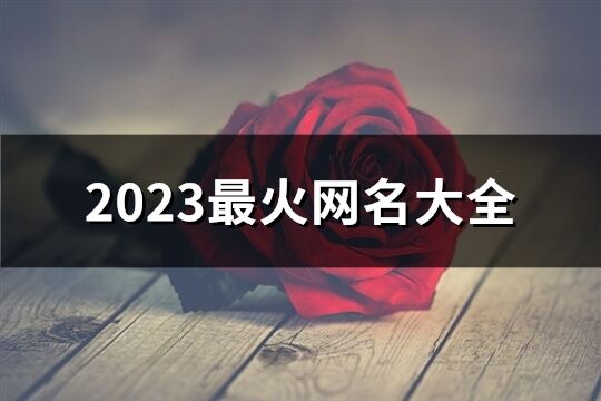 2023最火網(wǎng)名大全(優(yōu)選988個(gè))