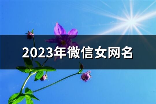 2023年微信女網名(優選1997個)