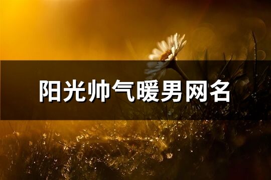陽光帥氣暖男網(wǎng)名(優(yōu)選223個)