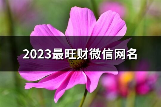 2023最旺財微信網(wǎng)名(共912個)