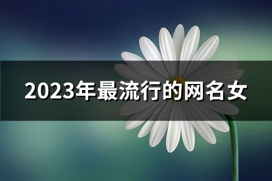 2023年最流行的網(wǎng)名女(精選1239個)