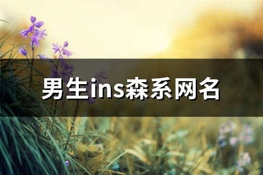 男生ins森系網名(優選144個)