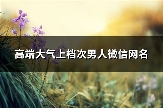 高端大氣上檔次男人微信網名(299個)