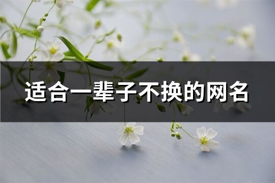 適合一輩子不換的網(wǎng)名(優(yōu)選1058個(gè))