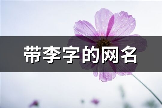 帶李字的網名(精選130個)