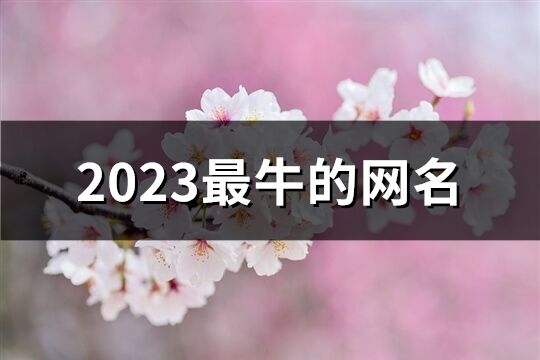 2023最牛的網名(1059個)