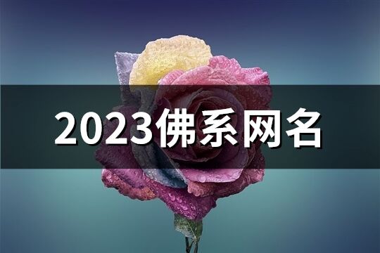 2023佛系網名(精選361個)
