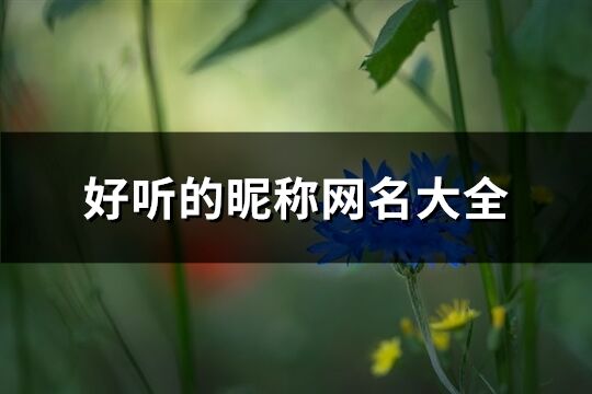 好聽的昵稱網名大全(1868個)