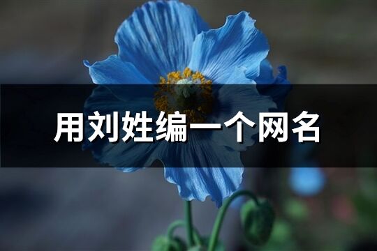 用劉姓編一個網名(優選108個)