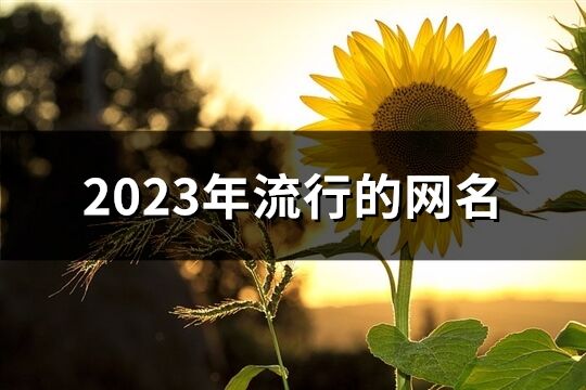 2023年流行的網名(1331個)