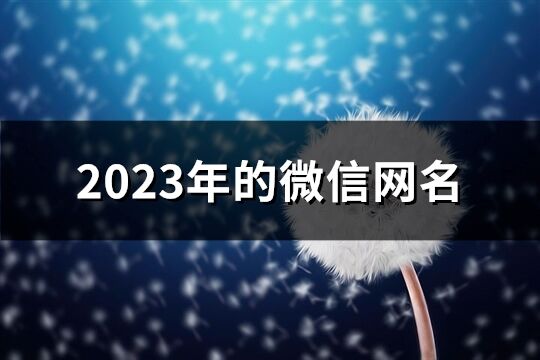 2023年的微信網名(精選936個)