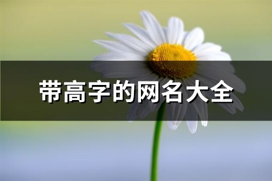 帶高字的網(wǎng)名大全(110個)