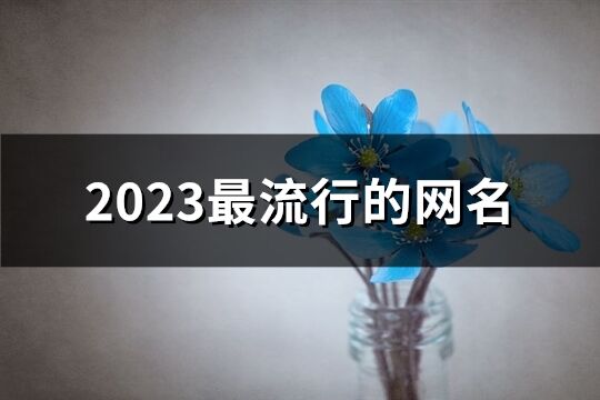 2023最流行的網名(1040個)