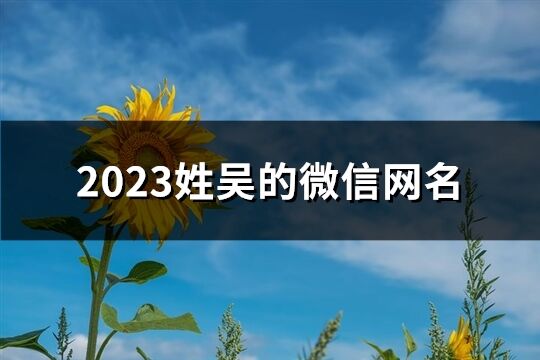 2023姓吳的微信網名(98個)