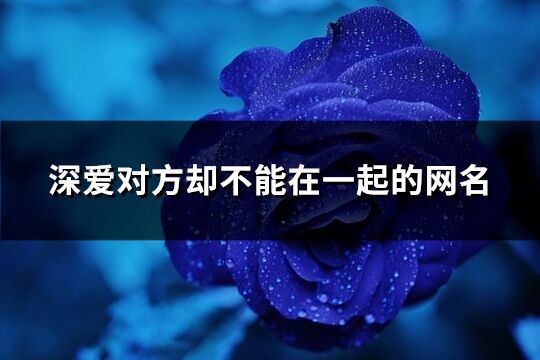 深愛對方卻不能在一起的網名(208個)