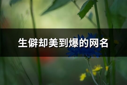 生僻卻美到爆的網名(精選364個)