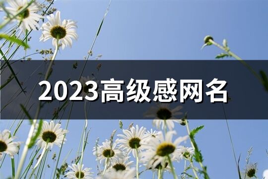 2023高級(jí)感網(wǎng)名(430個(gè))
