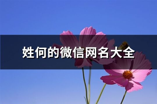 姓何的微信網名大全(共138個)