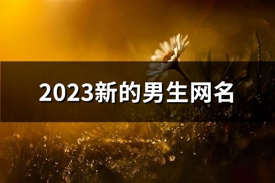 2023新的男生網名(精選709個)