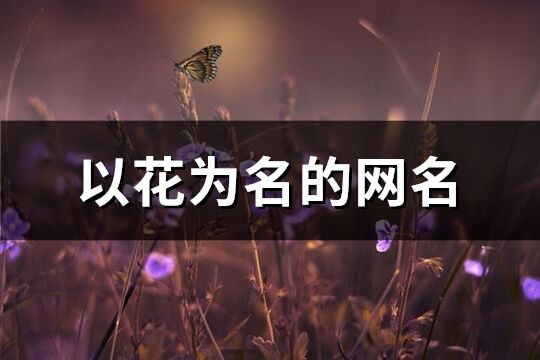 以花為名的網(wǎng)名(共155個(gè))