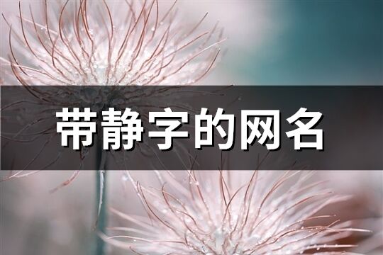 帶靜字的網(wǎng)名(共128個)