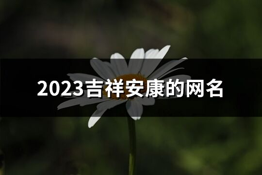2023吉祥安康的網名(共484個)