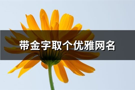 帶金字取個優雅網名(100個)