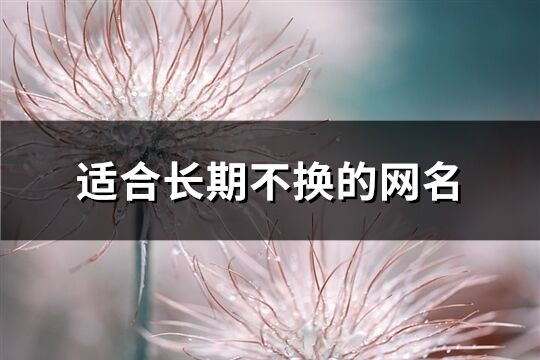 適合長期不換的網名(優選893個)