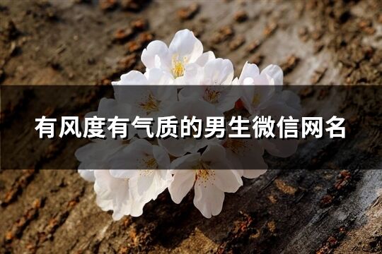 有風度有氣質的男生微信網名(精選597個)