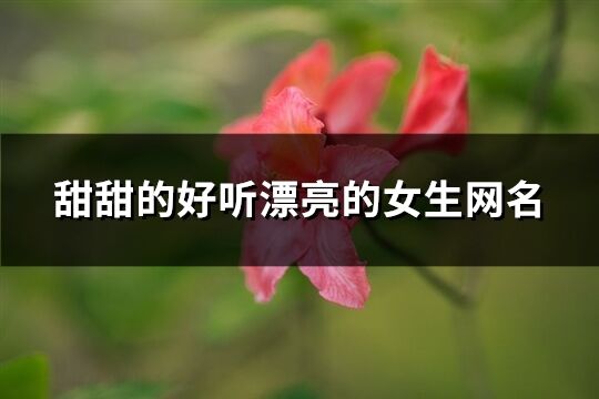 甜甜的好聽漂亮的女生網名(215個)