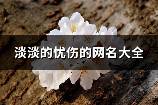 淡淡的憂傷的網(wǎng)名大全(共476個(gè))