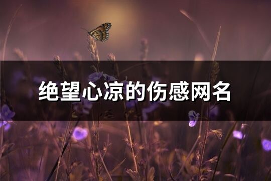 絕望心涼的傷感網名(共104個)