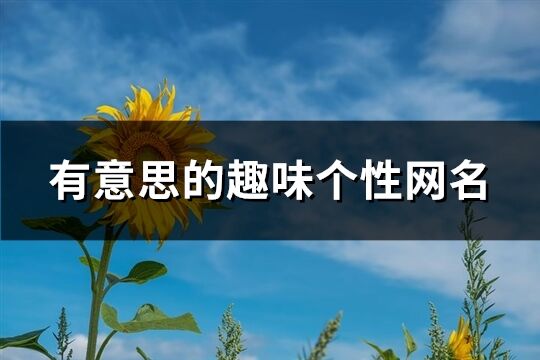 有意思的趣味個(gè)性網(wǎng)名(精選204個(gè))