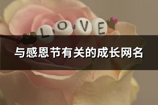 與感恩節有關的成長網名(優選313個)