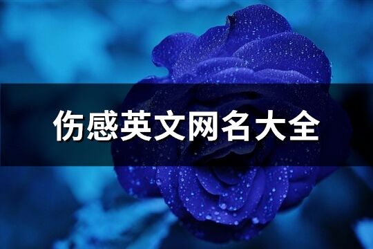 傷感英文網名大全(優選158個)