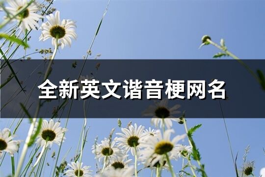 全新英文諧音梗網名(優選40個)