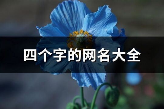 四個字的網名大全(精選1671個)