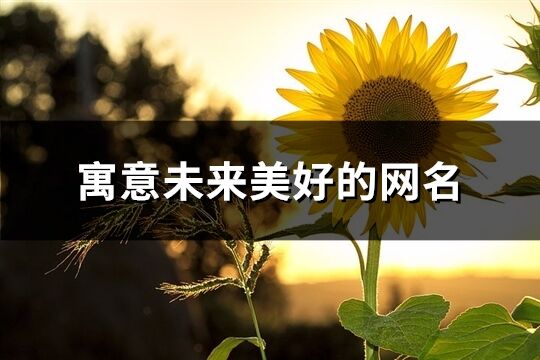 寓意未來美好的網(wǎng)名(精選140個(gè))