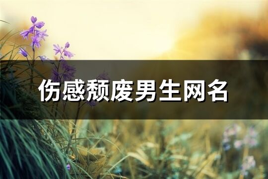 傷感頹廢男生網名(優選208個)