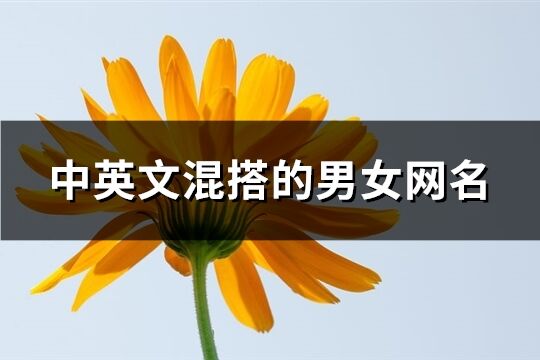 中英文混搭的男女網名(優選76個)