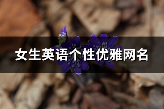 女生英語個性優雅網名(精選134個)