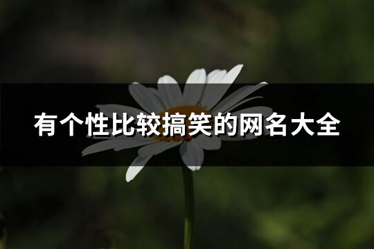 有個性比較搞笑的網名大全(精選445個)