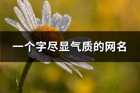 一個字盡顯氣質的網名(145個)