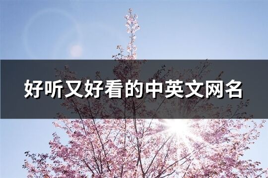 好聽又好看的中英文網名(91個)