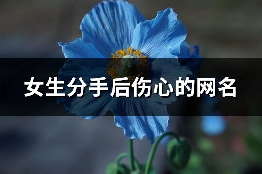 女生分手后傷心的網名(精選107個)