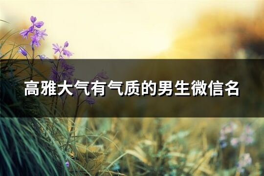 高雅大氣有氣質的男生微信名(優選778個)